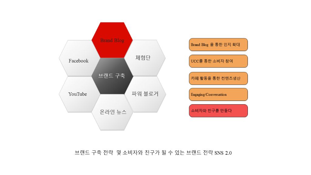 브랜드 구축 전략 - Brand Blog, SNS 2.0